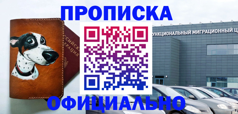 временная прописка в Шебекино